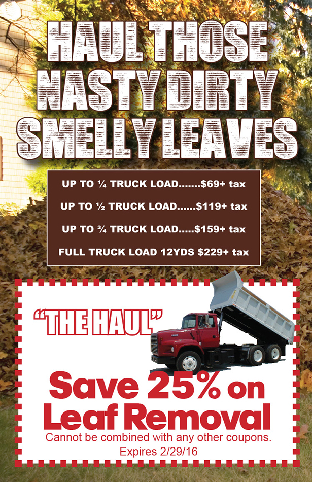 leaf removal flyer