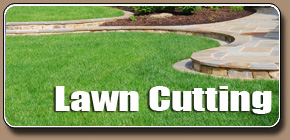 South Jersey Landscaping